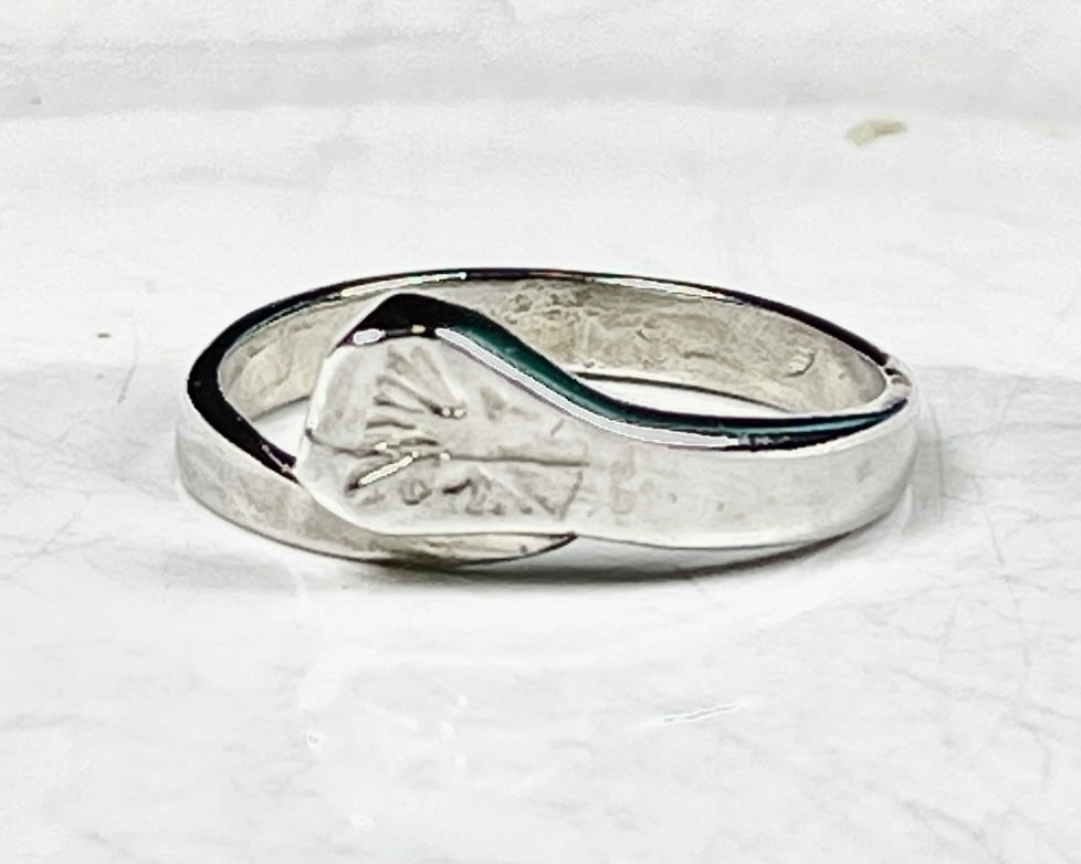 Horseshoe Naill Ring