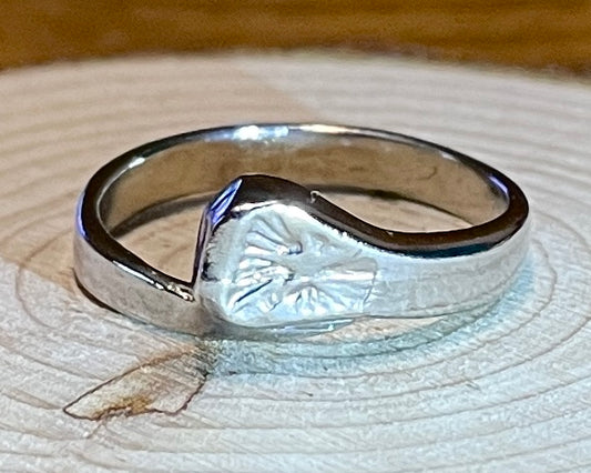 Horseshoe Naill Ring