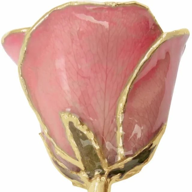 Rose - Traditional Colors with Gold Trim